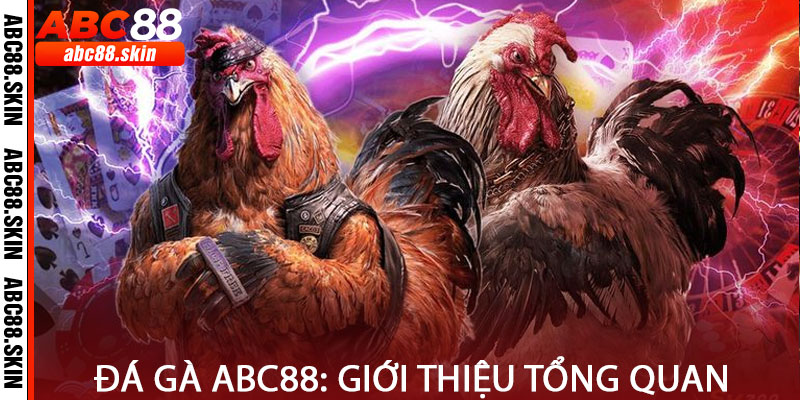 Đá Gà Abc88: Giới thiệu tổng quan