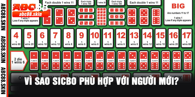 Vì sao Sicbo phù hợp với người mới?