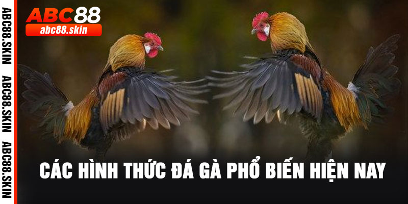 Các Hình Thức Đá Gà Phổ Biến Hiện Nay