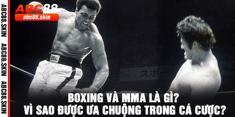 Boxing và MMA là gì? Vì sao được ưa chuộng trong cá cược?