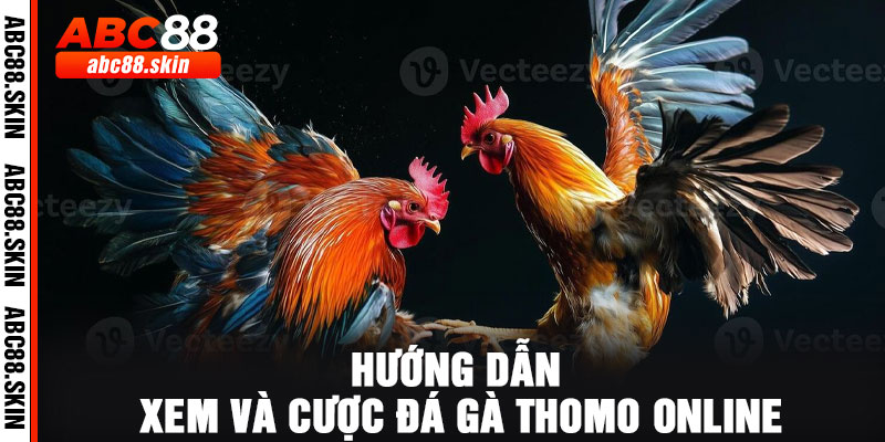 Hướng dẫn xem và cược đá gà Thomo online