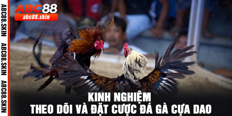 Kinh Nghiệm Theo Dõi Và Đặt Cược Đá Gà Cựa Dao