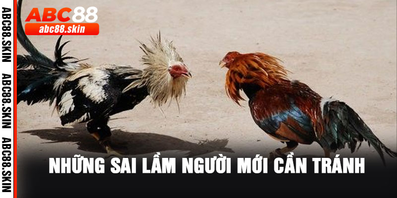 Những Sai Lầm Người Mới Cần Tránh