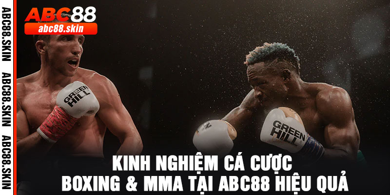 Kinh nghiệm cá cược Boxing & MMA tại ABC88 hiệu quả